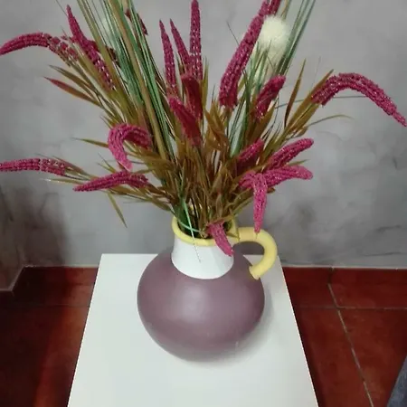 公寓 Apartamento Independiente Dentro De Vivienda Unifamiliar